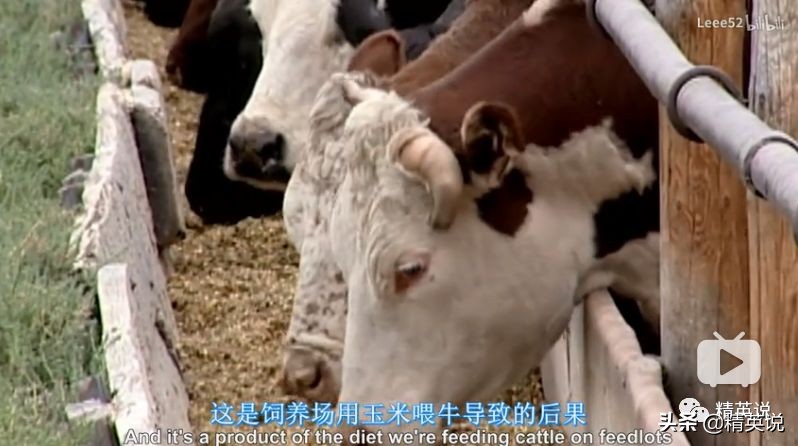 因为一个汉堡,她亲眼看着儿子死去!美国吃的食物到底有多脏...