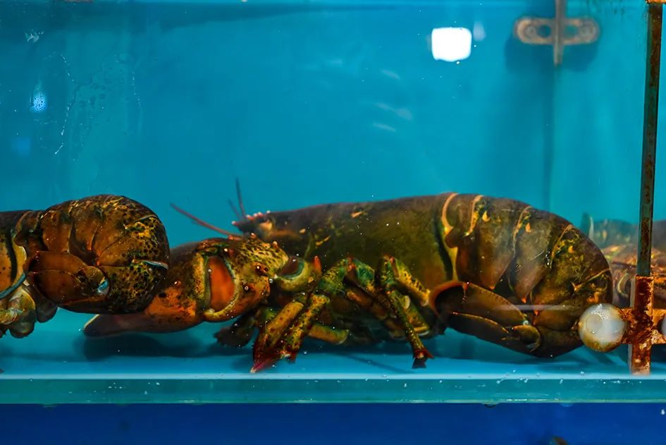 北京南城最大的早市在哪里,北京大兴早市哪个最好