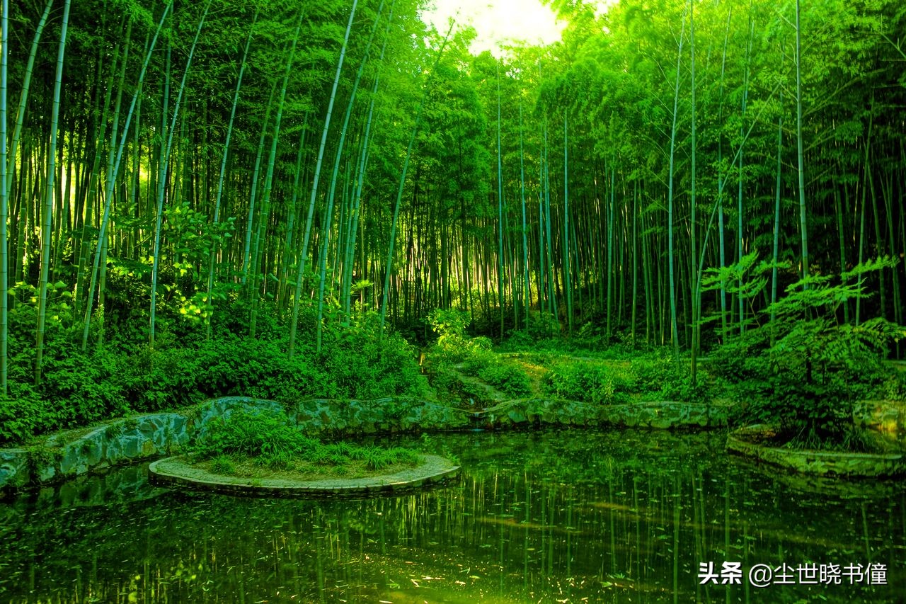 刘禹锡关于人生态度的诗句,刘禹锡人生不如意时的一首诗