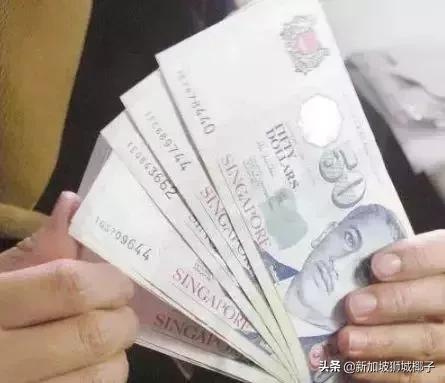 新加坡生活省钱攻略,2020新年新加坡旅游攻略