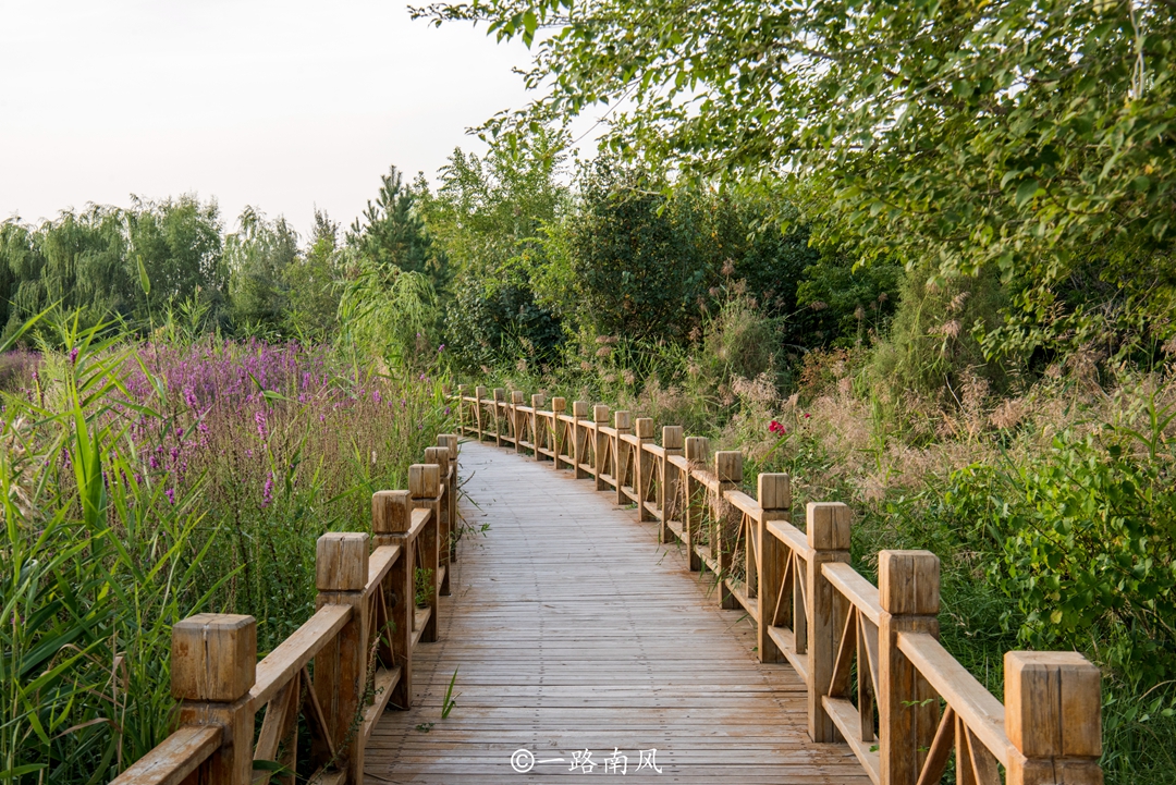 甘肃适合养老的小镇,甘肃最适合养老的县城