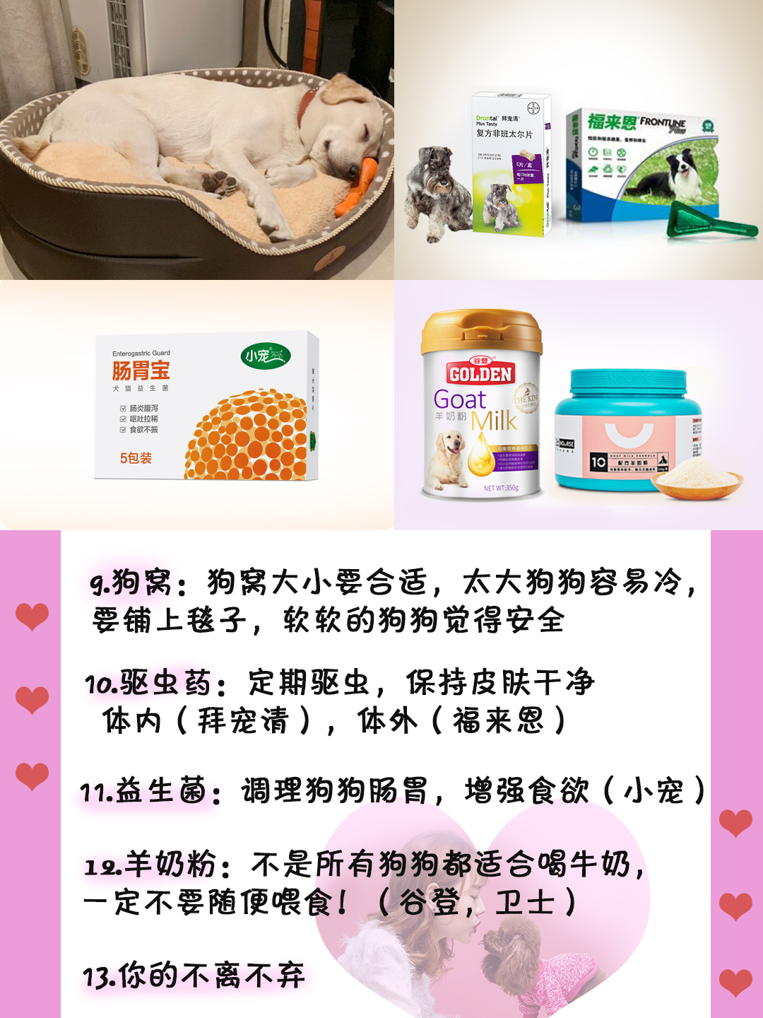 养狗新手必买物品,养狗必备物品清单大全