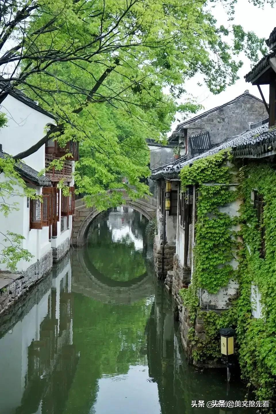 丹心一片林徽因阅读题,一片阳光林徽因阅读答案