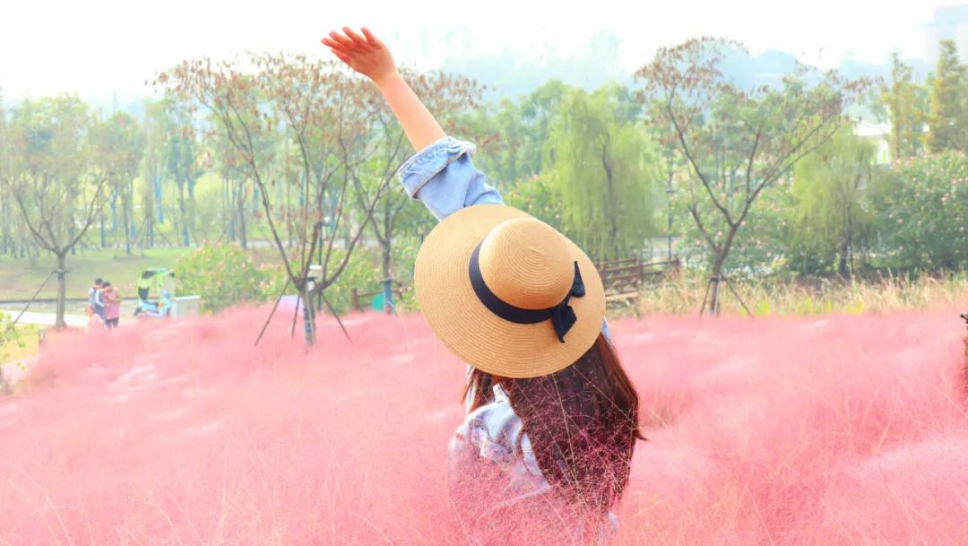 浦口最炫花海景点,浦口的花海