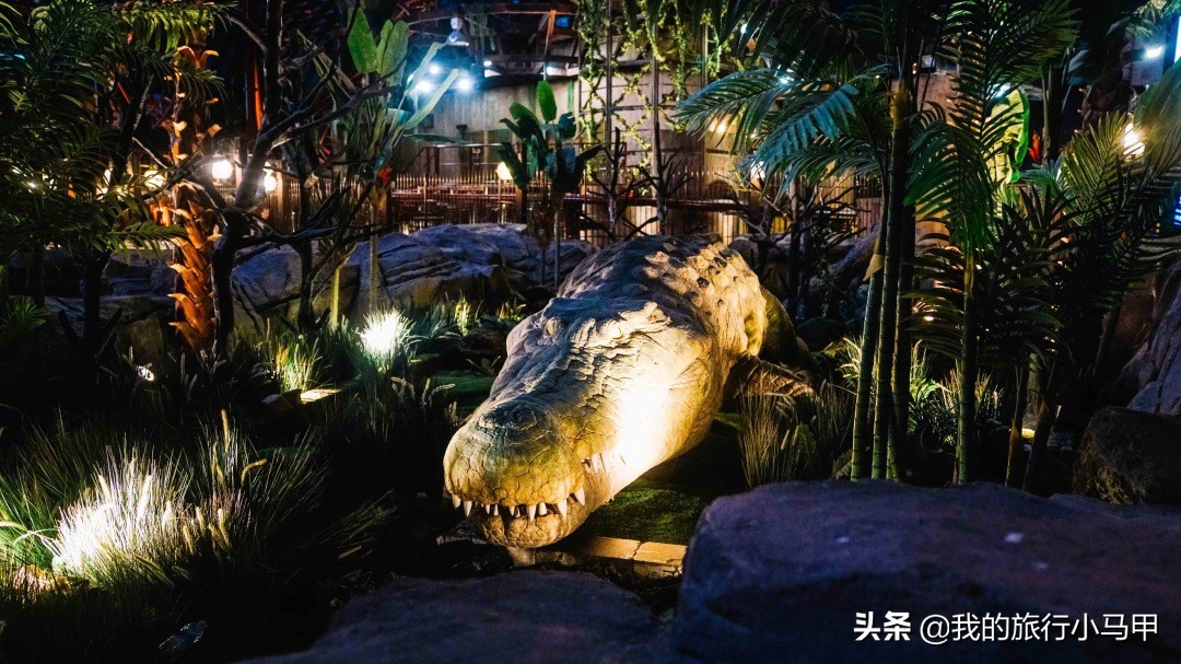 迪拜游玩一定要体验一次,迪拜必去十大景点旅游攻略