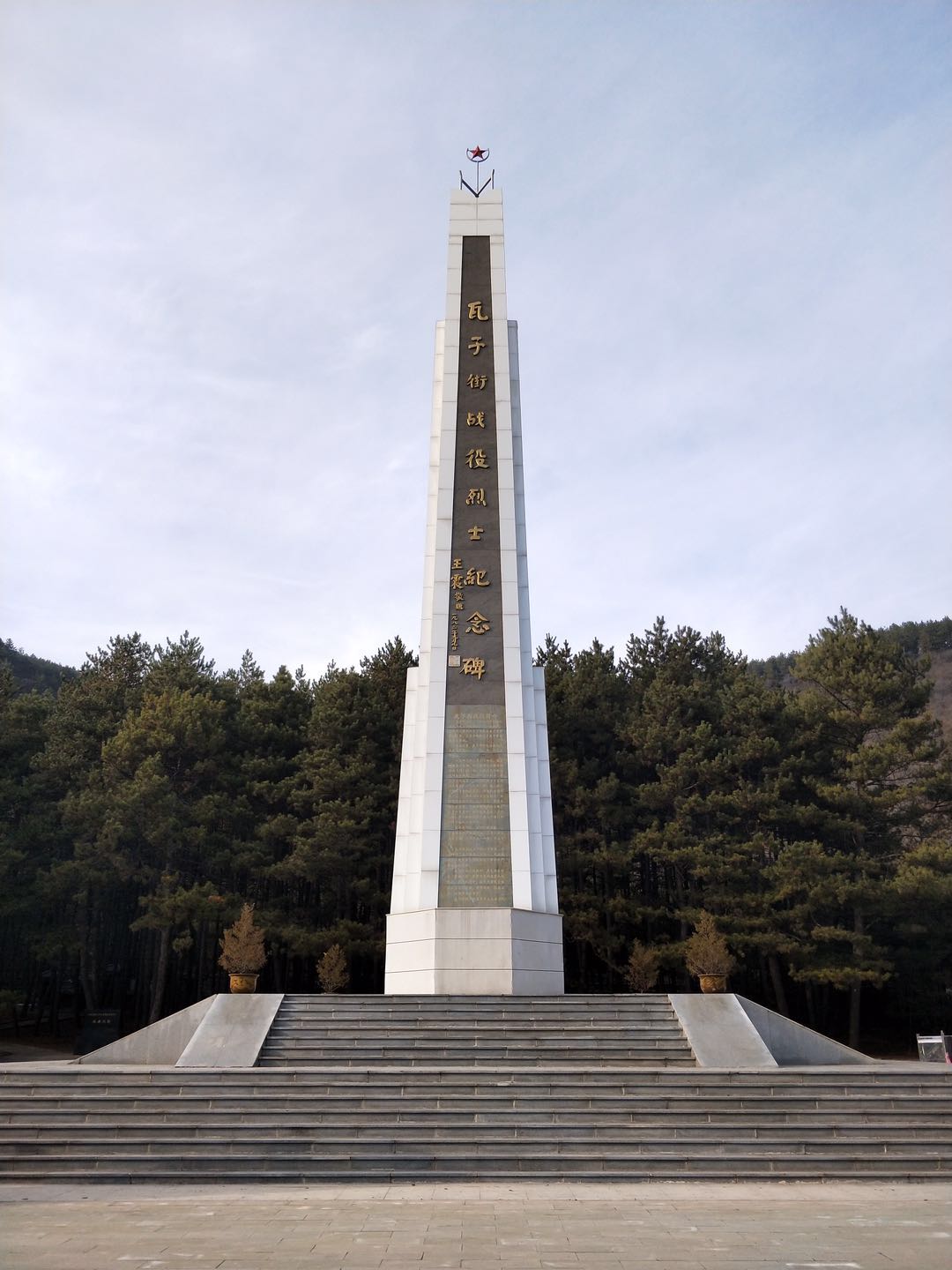 瓦子街战役榆林烈士名单 (陕西省榆林烈士怎么牺牲的)