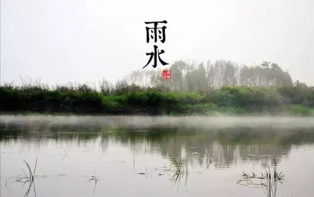 24节气适合喝什么茶,一年最热的节气宜喝什么茶