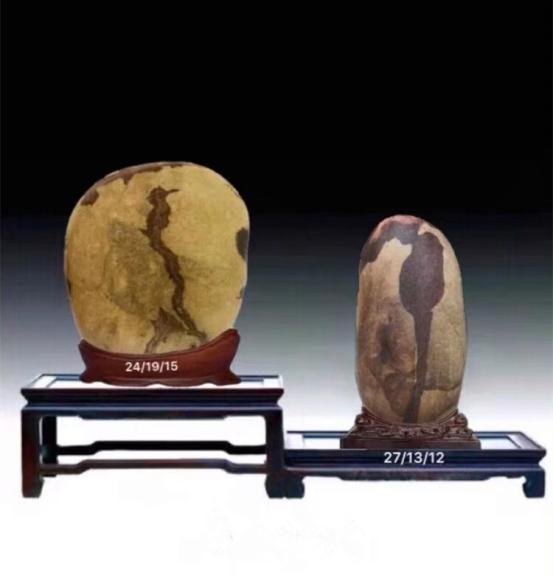 都是些什么“鸟石”？保证有你好看