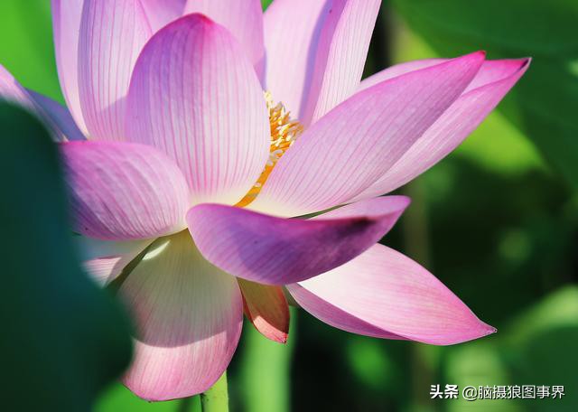 怎样用ps调好照片画质,ps调整对比度快捷键