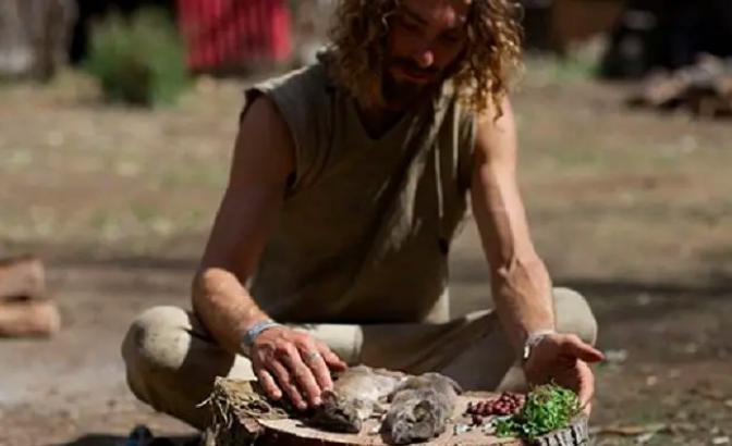 一口气看完荒岛求生第100天,一口气看完荒岛求生第九季