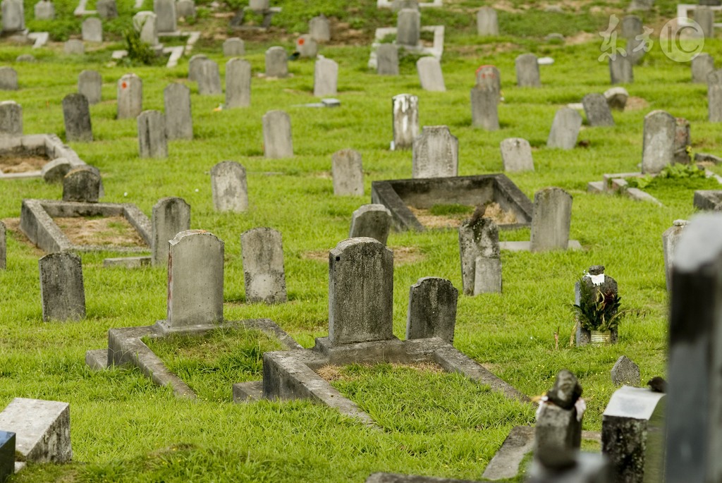 小说：群聊里的游戏能惹来杀身之祸，我们说好不玩，却有人忍不住