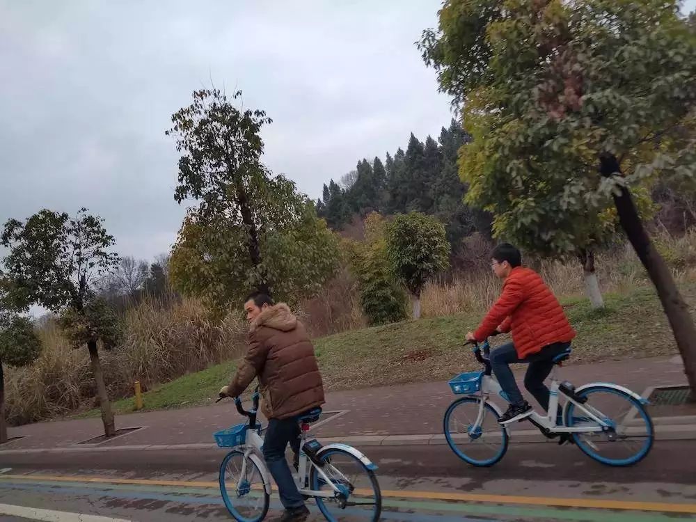 互联网改变我的家乡,你家乡的互联网怎样了