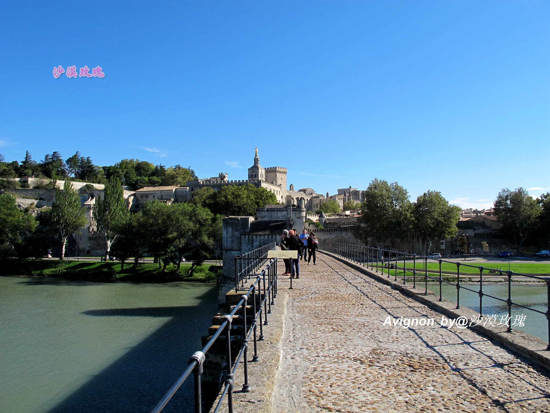 普罗旺斯有浪漫的薰衣草,普罗旺斯未开的熏衣草