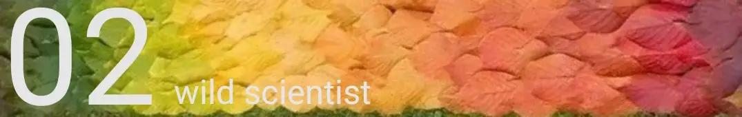 葱得了大葱锈病还能吃吗,葱黄锈病怕什么