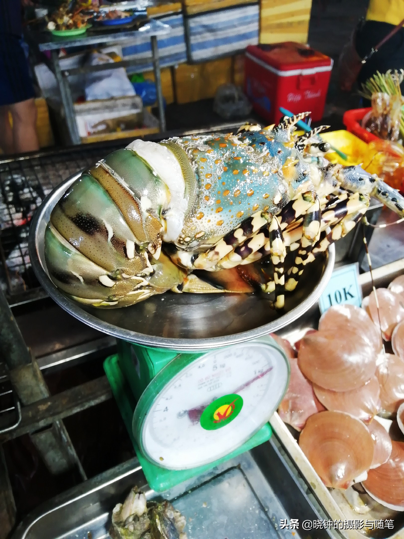 去越南看看他们吃的是什么,越南岘港海鲜价格