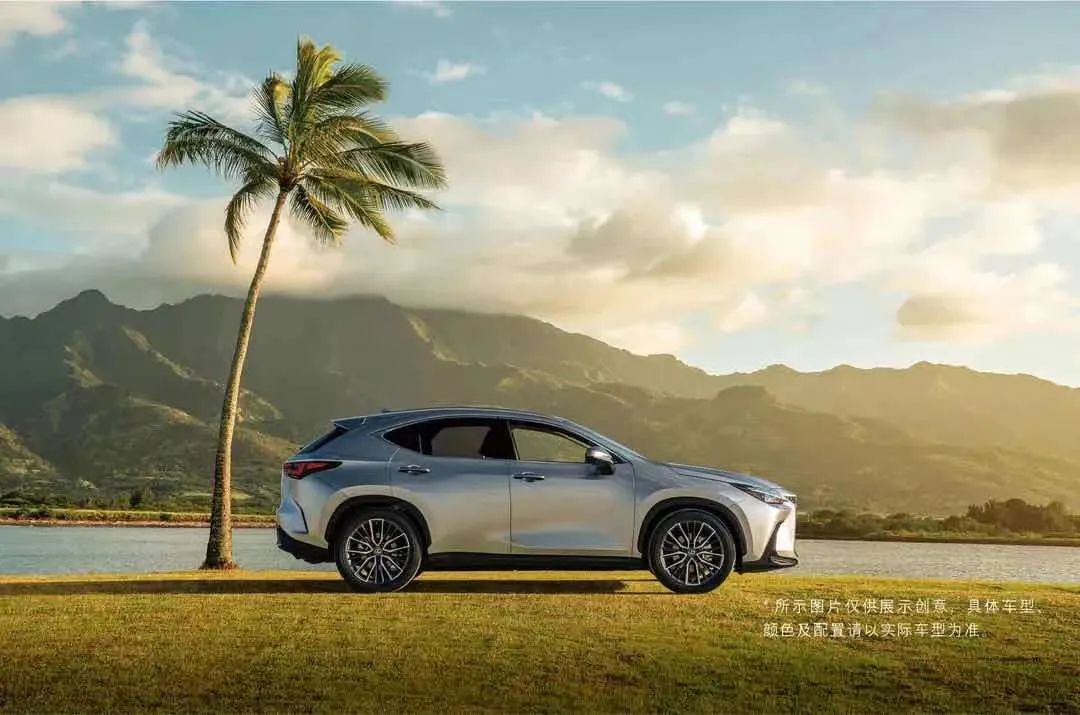 不洗车和频繁洗车哪个更伤车,经常不洗车对车有什么影响