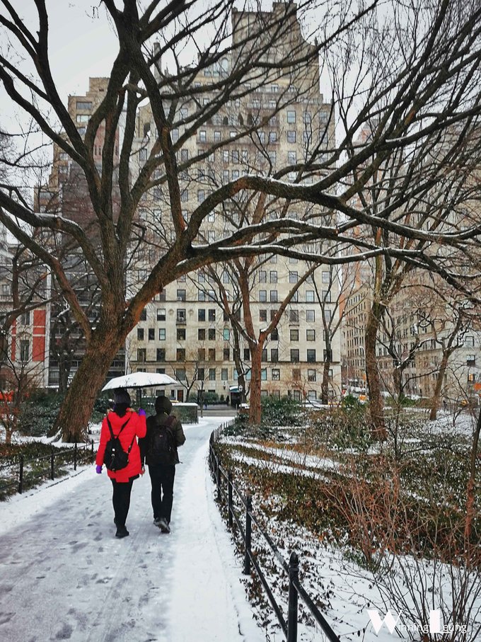 现实版未来之城纽约中央公园,纽约中央公园和北京奥体森林公园