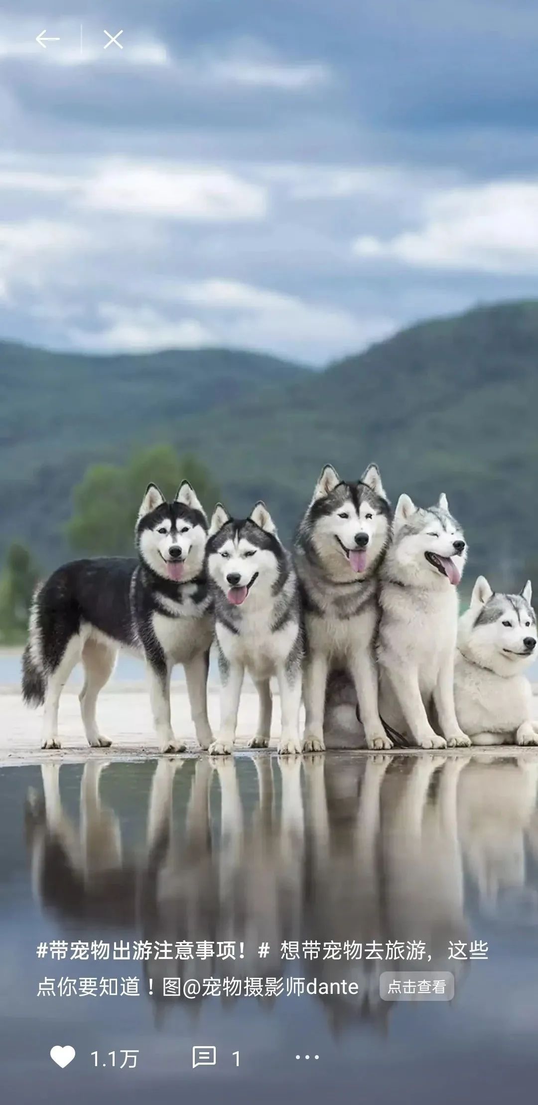 锁屏供稿精选丨大佬，您的作品上线了