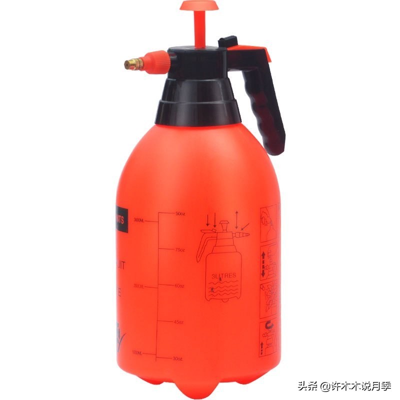 如何养月季花的技巧和施肥时间,月季怎么养开大花好看视频