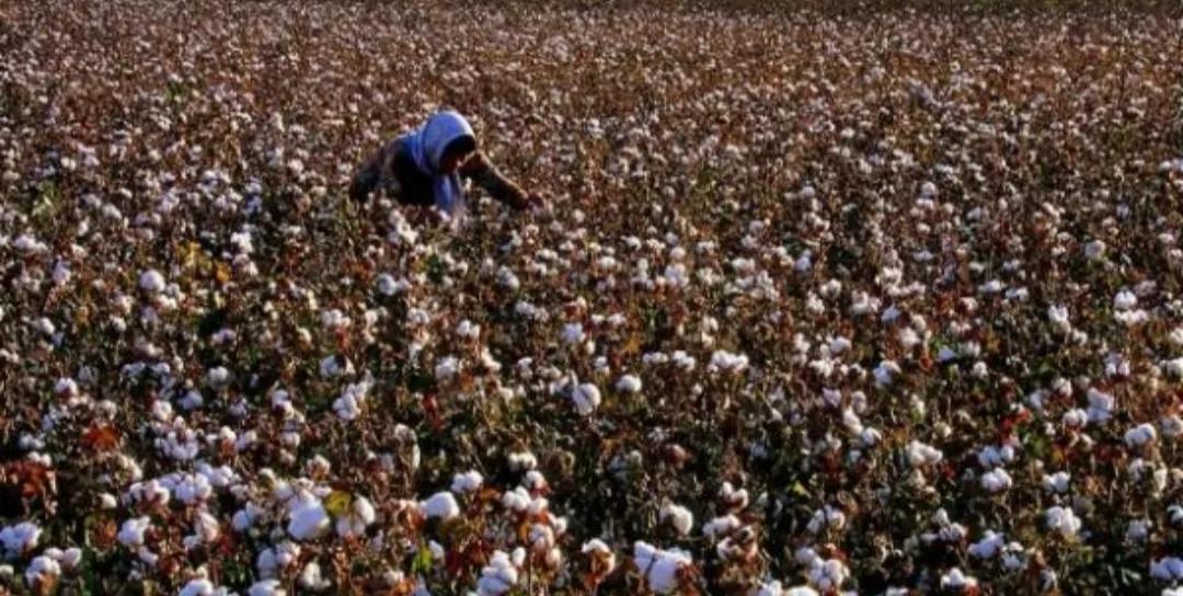 回收垃圾创业成功案例,怎么靠回收垃圾赚钱