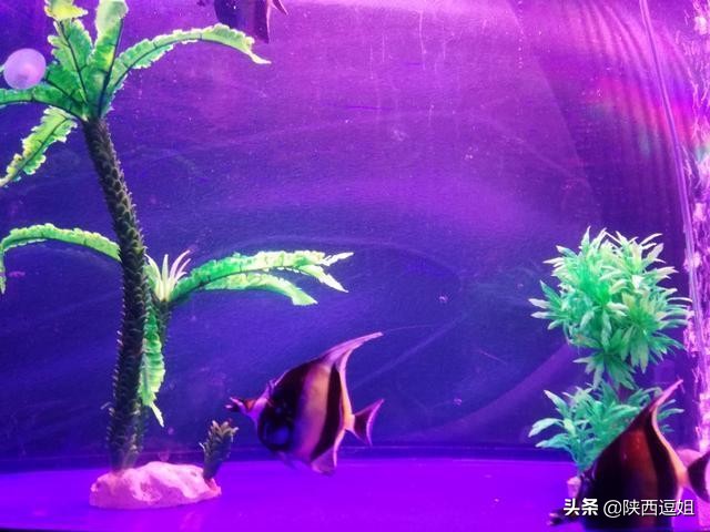 五一长假到哪儿,西安五一游玩攻略一览表