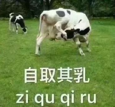 为啥鼠能排12生肖老大?先把这份拜年祝福语读懂再说