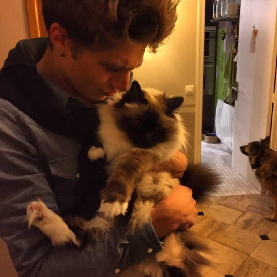 法国帅气男模,法国英俊男模成最帅伏地魔