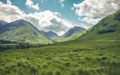 基于资本运作分析瑞幸咖啡造假,瑞幸咖啡造假事件对投资者的影响