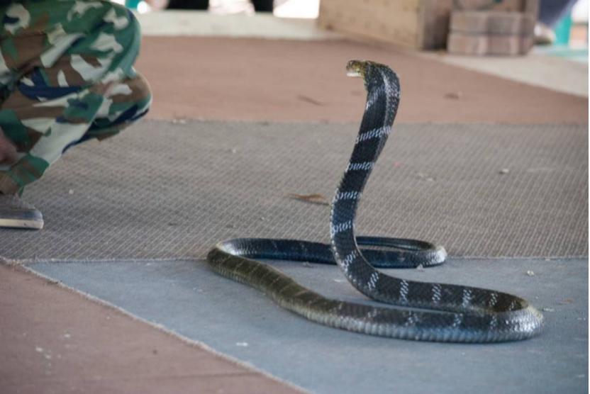 多大力能把手机弄弯,怎样把手机弄弯