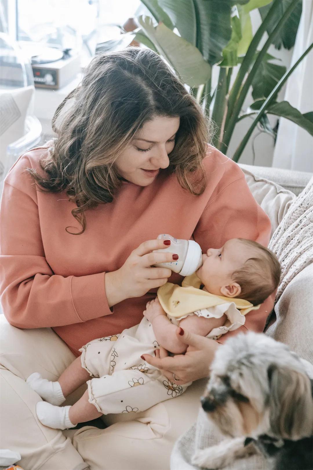 托育中心必问问题,新生儿照护托育机构