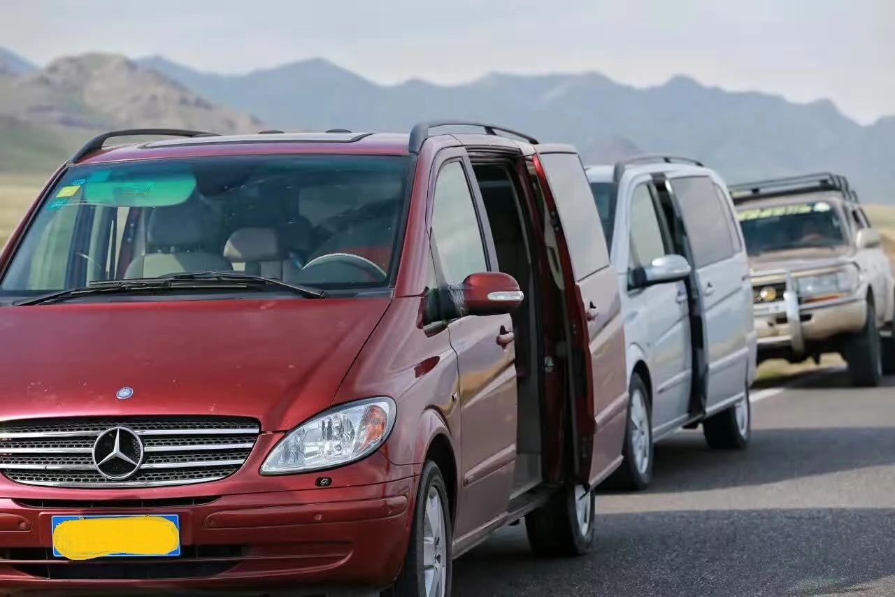 走马春季追花线|春漫*疆新**，牧笛声声中的杏花村