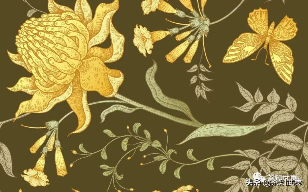 有茶有花有滋有味,茶里有不一样的味道