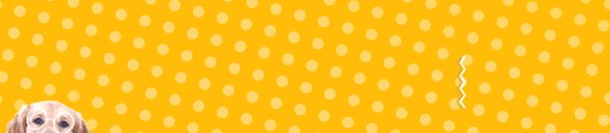 猫咪耳朵痒里面是湿的,猫咪耳朵痒伴有呕吐