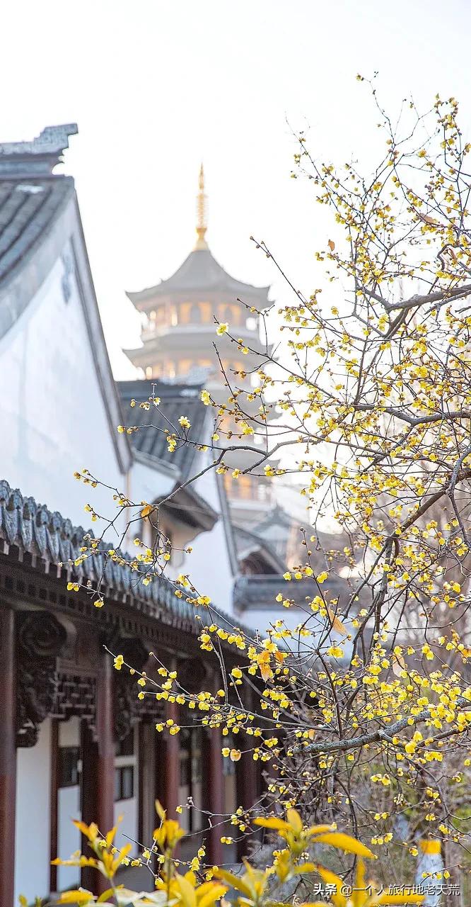 原来它才是江苏最安逸城市，累了就去小住几天