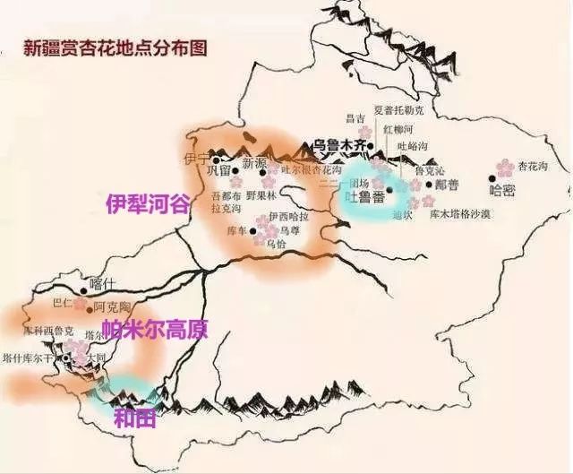 走马春季追花线|春漫*疆新**，牧笛声声中的杏花村