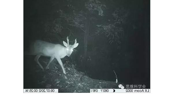 脉轮辉光拍摄,脉轮有科学依据吗