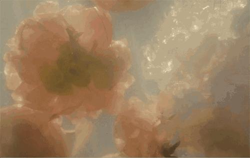 Gucci5款最受欢迎的香水，你买过其中哪一款？