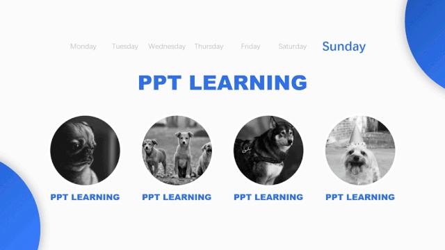 做ppt时怎么调整对齐,在做ppt的时候怎么精准的对齐