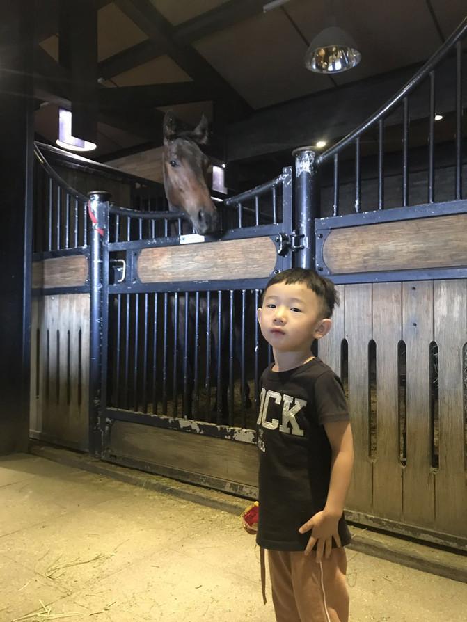 一家四口暑假日常之去游乐场,暑期全家一起大东北出游超欢乐