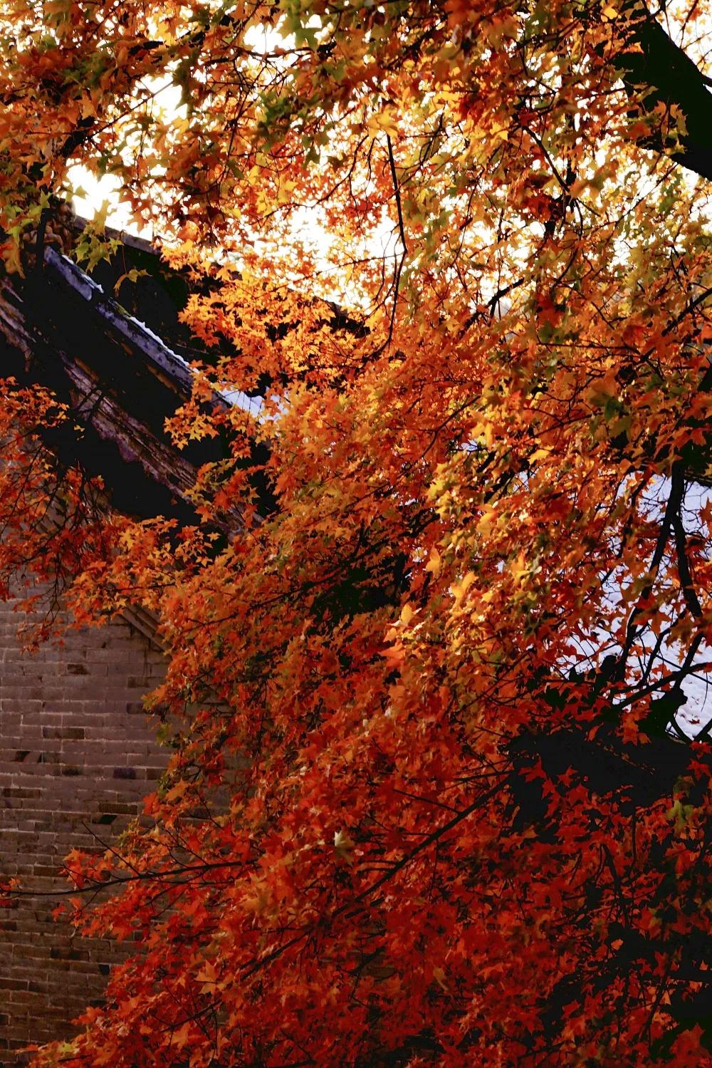灏忎節瀵ㄥ弻榫欏场,浜タ灏忎節瀵ㄥ弻榫欏场