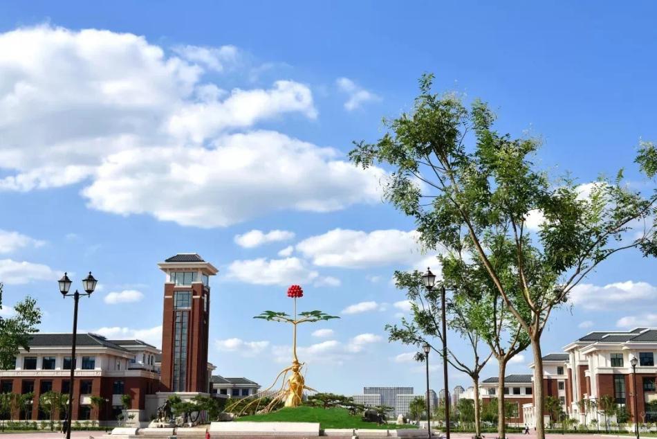 天津中医药大学针推专业怎么样,天津中医药大学的针灸专业视频