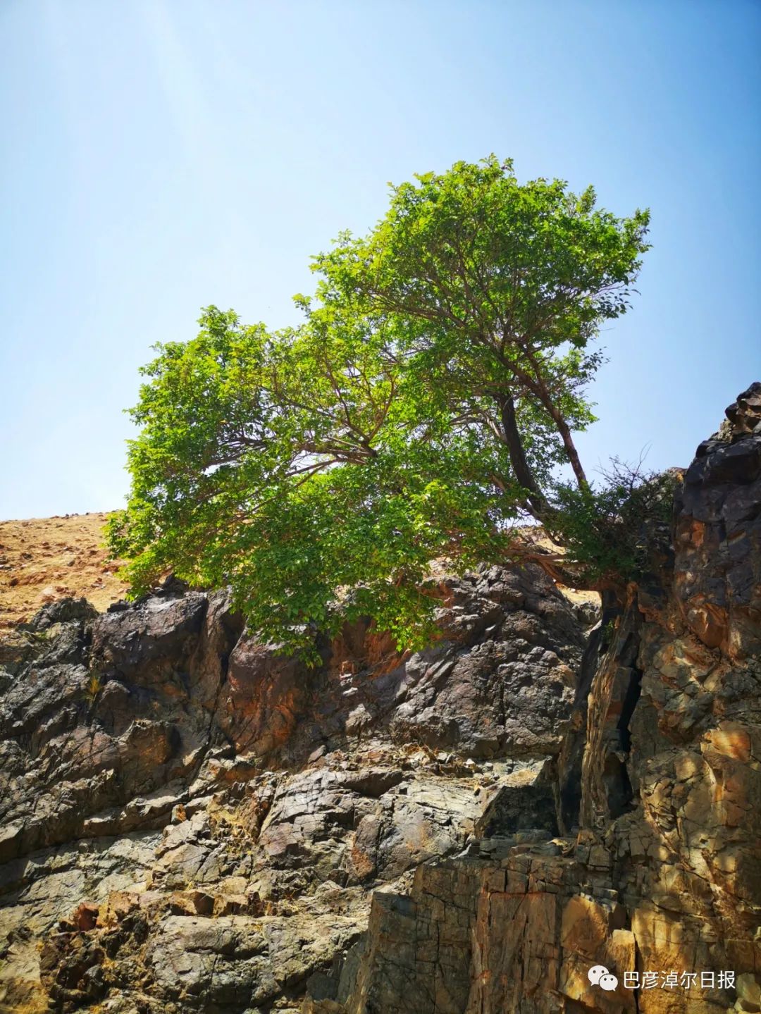 巴彦淖尔五一去处,巴彦淖尔市端午小长假适合去哪玩