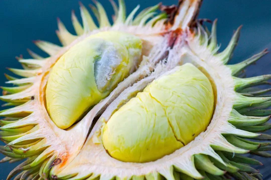 他的工作是厨师的英文,他的工作是什么英文句子