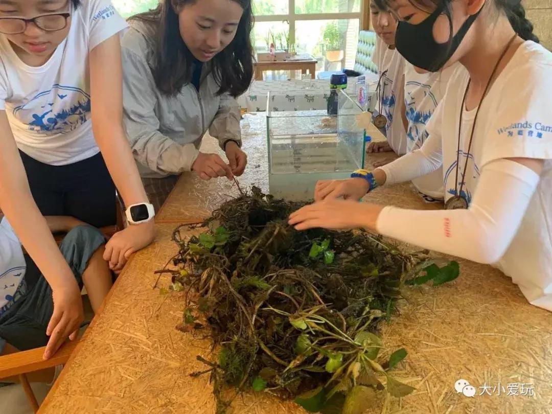 夏令营实地考察,儿童夏令营营地