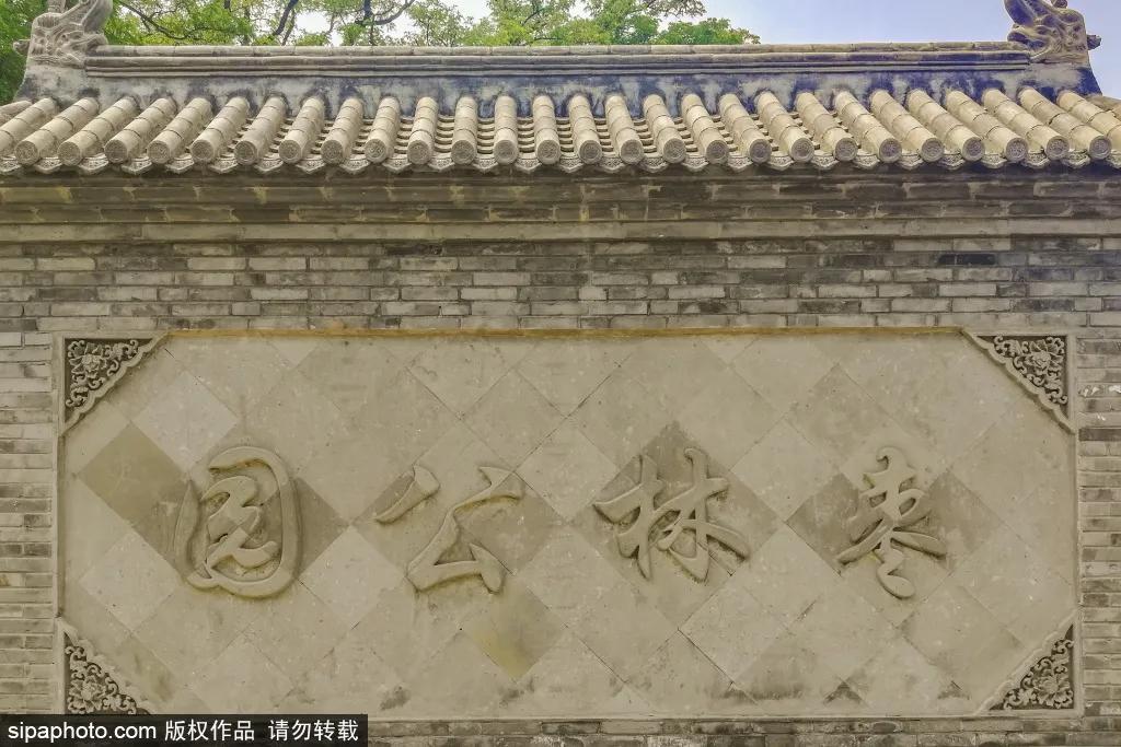 紫色花海免费版,紫色花海免费