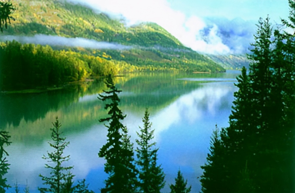 可可托海夏季牧场,可可托海的养蜂人和牧羊人的故事