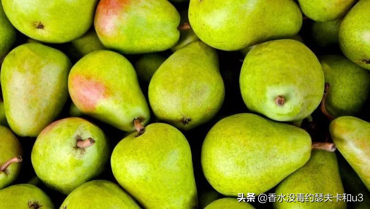 爱马仕屋顶香水寓意,爱马仕香水屋顶花园小样