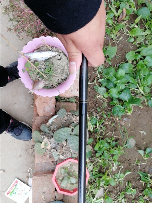 喜欢钓鲫鱼,手感好的鲫鱼鱼竿品牌