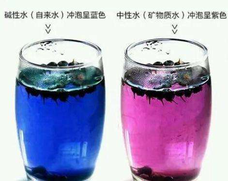 200一斤的黑枸杞,2000一斤的枸杞