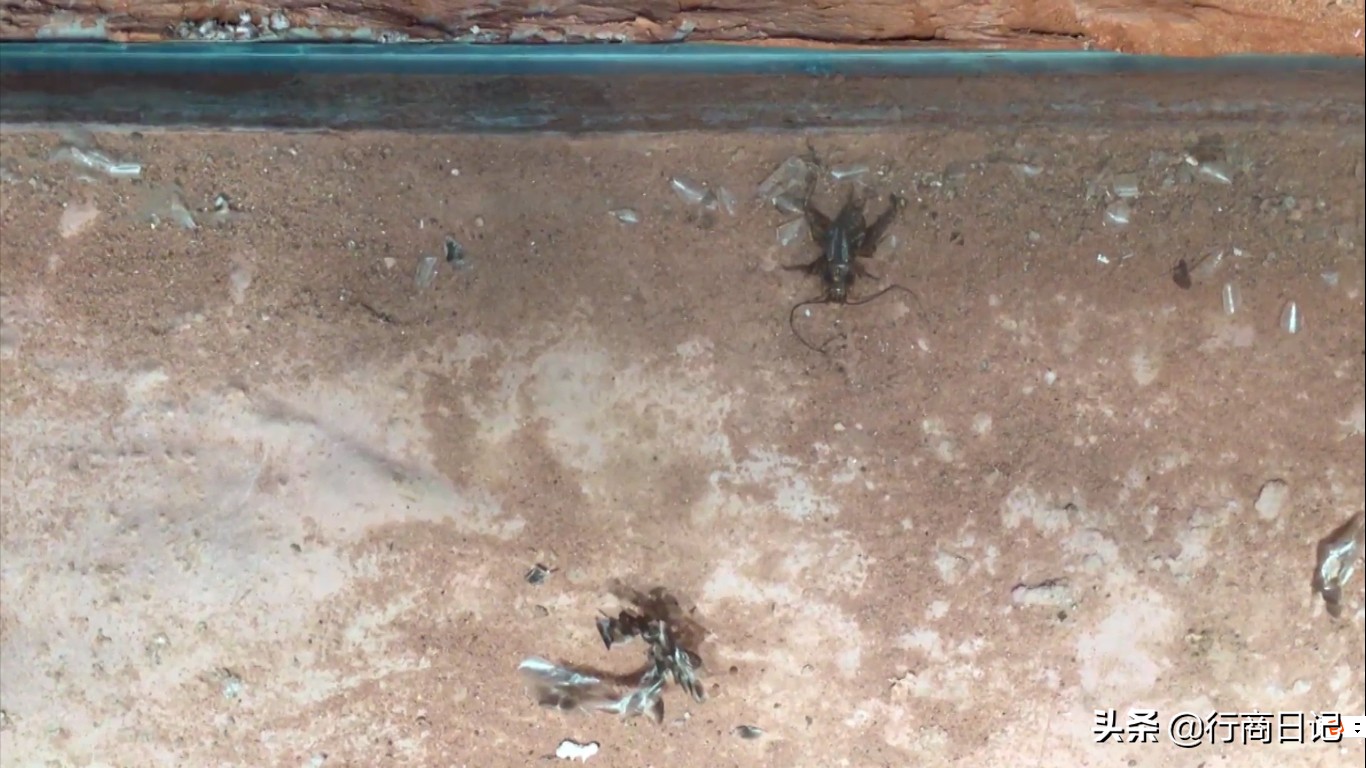 转一转：西单华威商场的潮铺街和约饭街，青春的味道